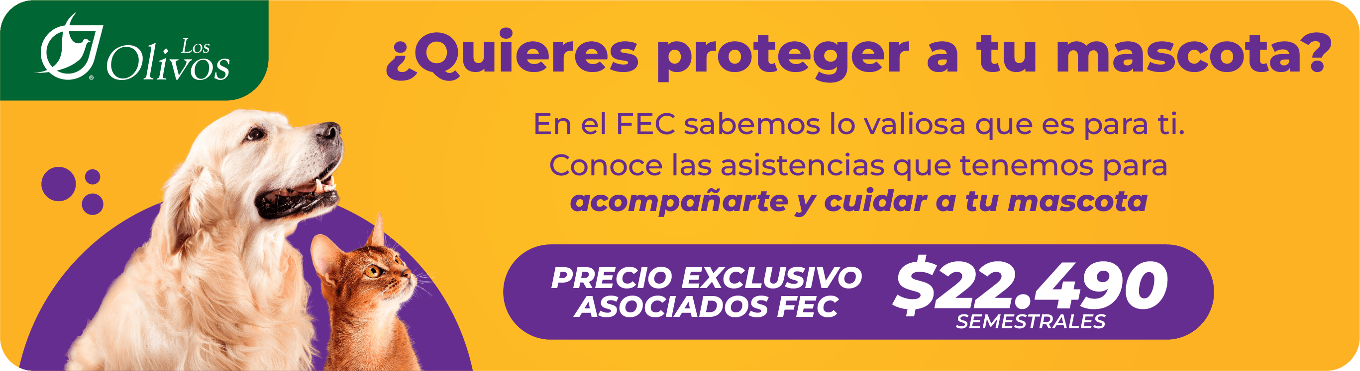 productos de ahorro FEC