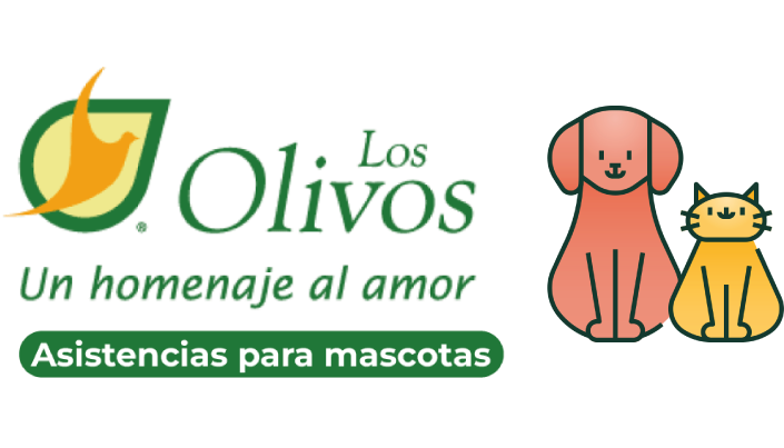 los olivos