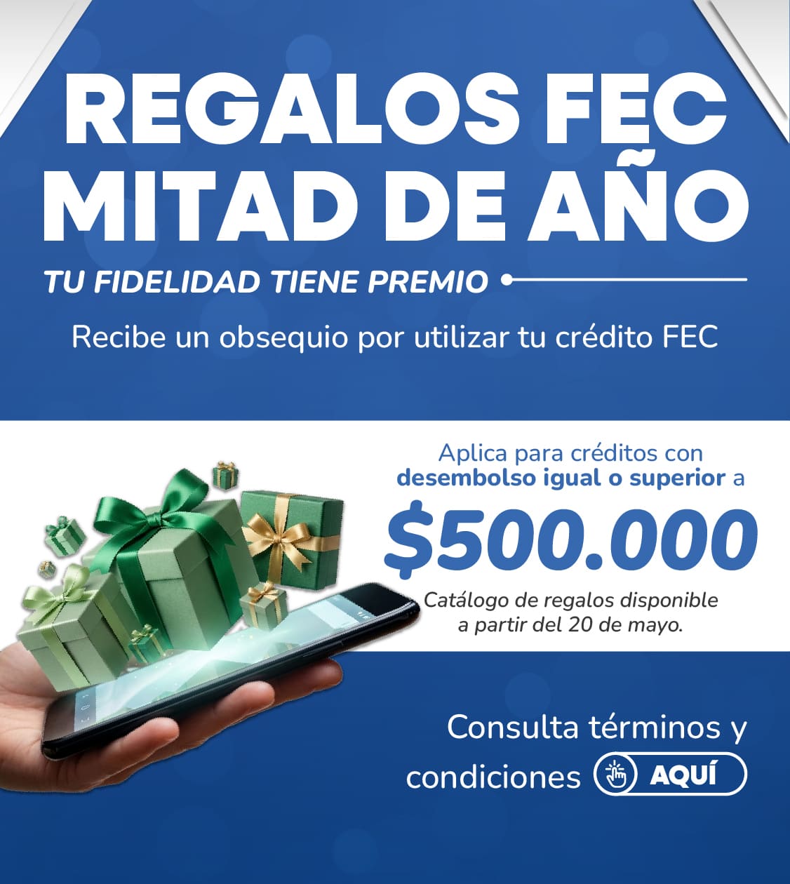 Regalos Mitad A&ntilde;o FEC
