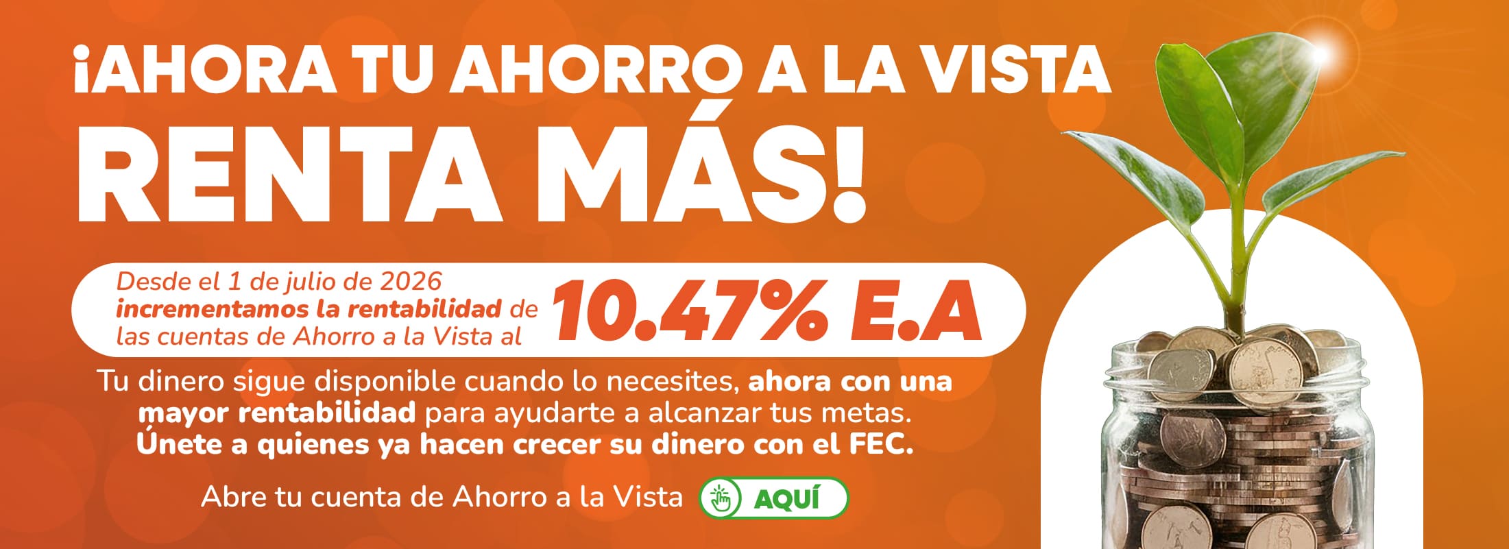 Ahorro a la Vista