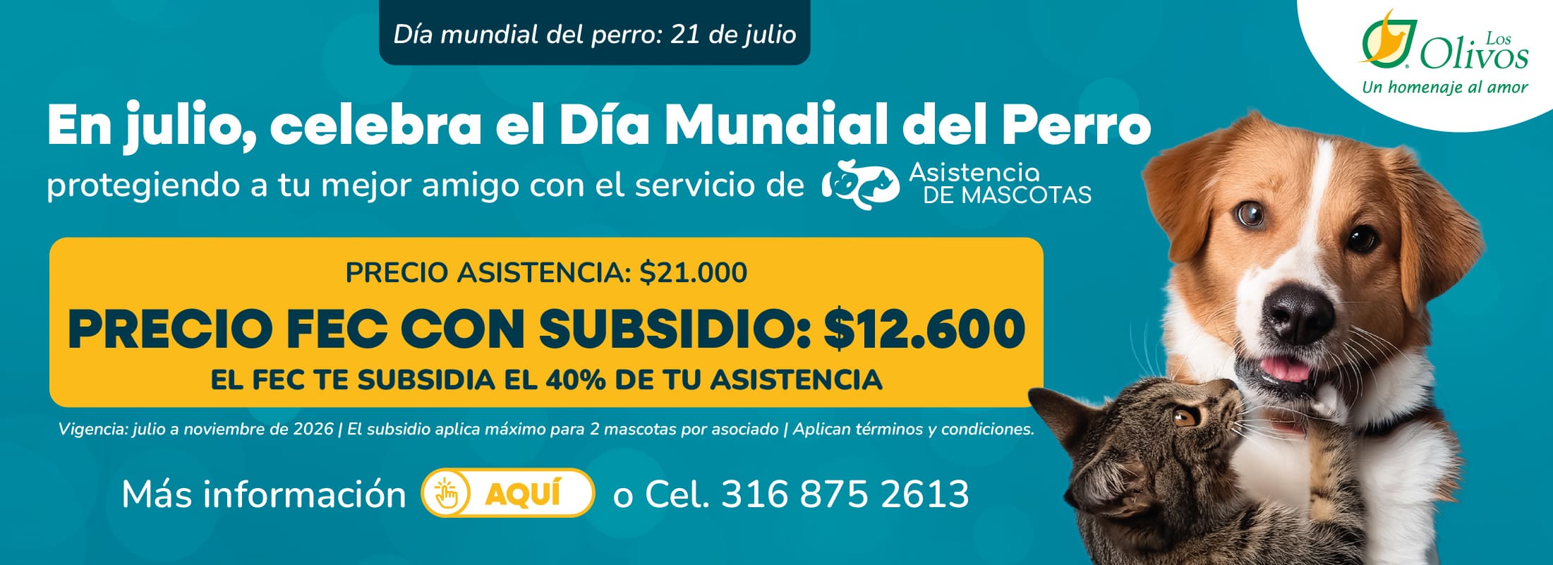 Asistencia Mascotas - Olivos