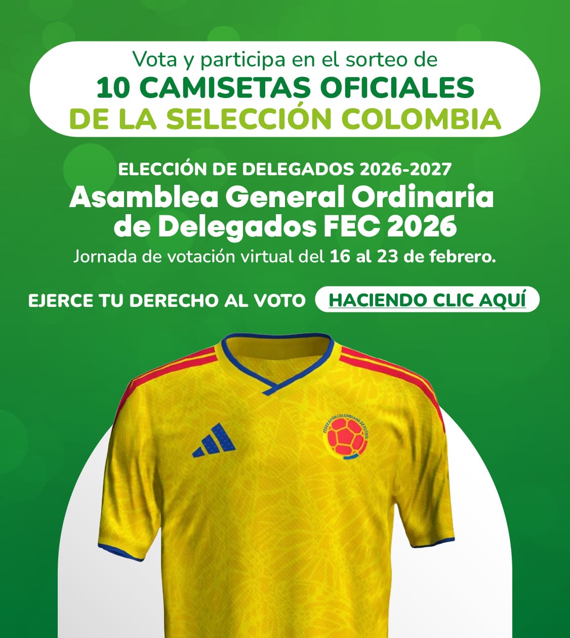 Asamblea FEC Votacion